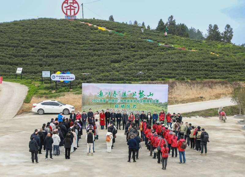 市女摄协:镜头下的茶香之旅 市女摄协:镜头下的茶香之旅