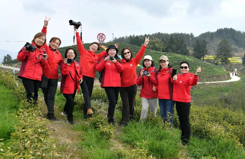 市女摄协:镜头下的茶香之旅 市女摄协:镜头下的茶香之旅