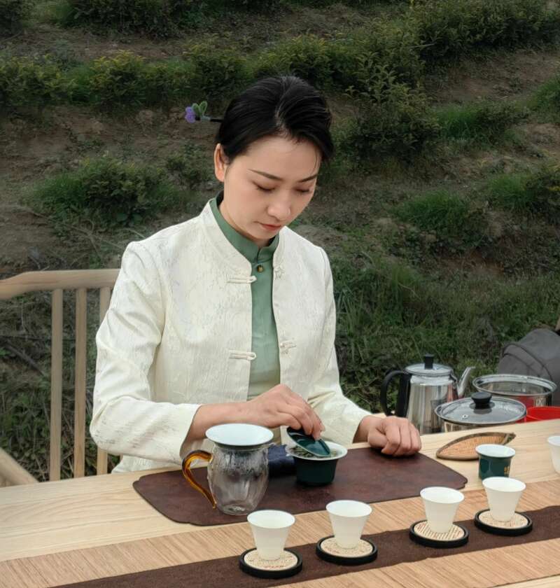 市女摄协:镜头下的茶香之旅 市女摄协:镜头下的茶香之旅