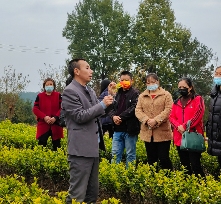 古韵贡茶氤氲新 ——探寻广元千年茶脉之二 古韵贡茶氤氲新 ——探寻广元千年茶脉之二