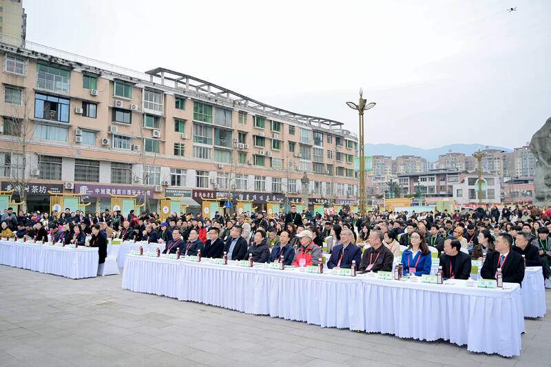 共议茶业大计!2025年蒙顶山茶商大会圆满召开! 全球茶商共议茶业大计!2025年蒙顶山茶商大会圆满召开!