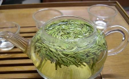 青城雪芽为什么这么贵.png