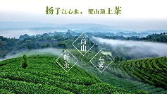 千年网红再