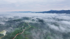 高山云雾滋养蒙顶山茶 自然馈赠成就杯中诗意 每一口蒙顶山茶,都藏着高山云雾秘境的春日惊喜!