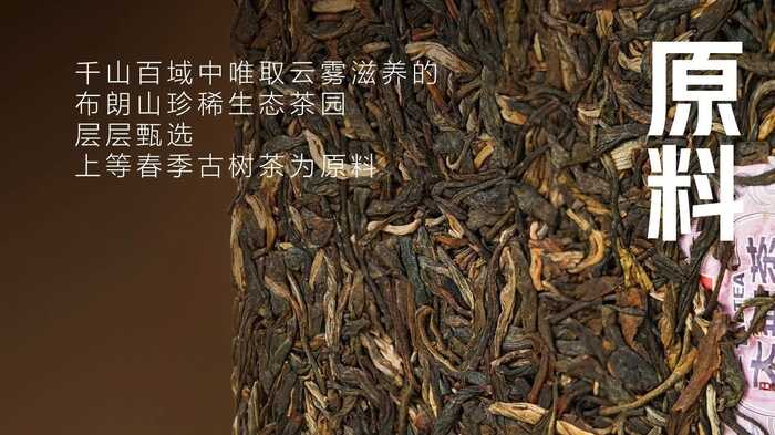生态密码解锁茶香盛宴,新系列青砖引领收藏新风尚 大益“生态青砖”品藏会全国8城举办,500余名藏友一试钟情