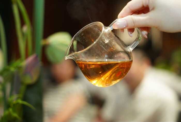 生态密码解锁茶香盛宴,新系列青砖引领收藏新风尚 大益“生态青砖”品藏会全国8城举办,500余名藏友一试钟情