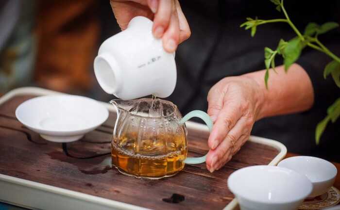 生态密码解锁茶香盛宴,新系列青砖引领收藏新风尚 大益“生态青砖”品藏会全国8城举办,500余名藏友一试钟情