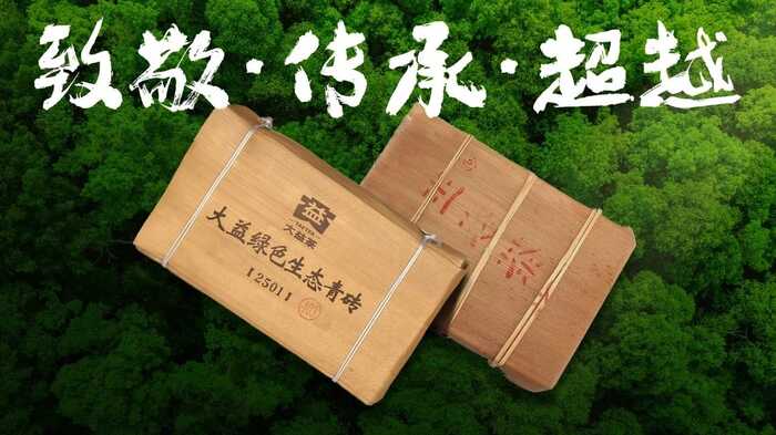 生态密码解锁茶香盛宴,新系列青砖引领收藏新风尚 大益“生态青砖”品藏会全国8城举办,500余名藏友一试钟情