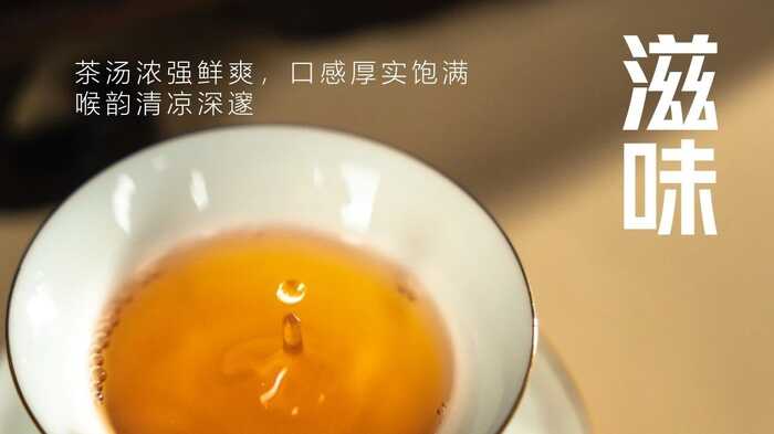 生态密码解锁茶香盛宴,新系列青砖引领收藏新风尚 大益“生态青砖”品藏会全国8城举办,500余名藏友一试钟情