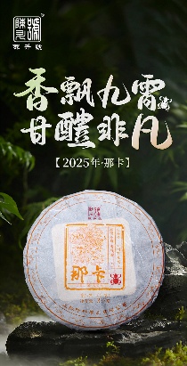 滇南那卡茶文化秘境与品质传承 香飘九霄·甘醴非凡 陈升号2025年“那卡”面市