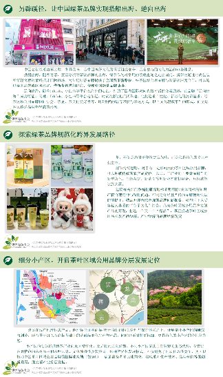绿茶区域公用品牌价值评估报告发布 2025中国绿茶区域公用品牌价值评估报告
