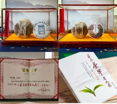 非遗传承人李先国深耕古树茶引领产业升级 李先国:矢志将好茶带出深山
