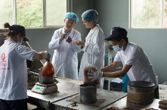 非遗传承人李先国深耕古树茶引领产业升级 李先国:矢志将好茶带出深山
