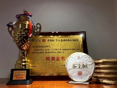 非遗传承人李先国深耕古树茶引领产业升级 李先国:矢志将好茶带出深山