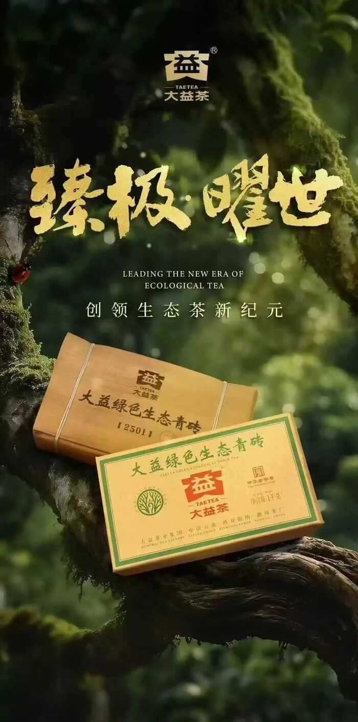 生态青砖启幕新篇章:文化品藏交流会探讨普洱茶产品价值 大益“生态青砖”品藏会全国8城举办,500余名藏友一试钟情