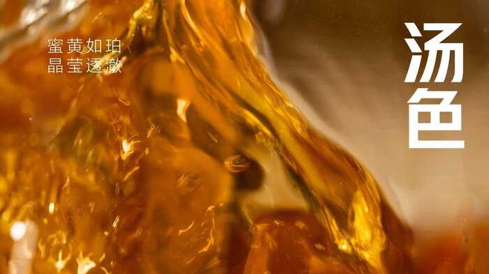 生态青砖启幕新篇章:文化品藏交流会探讨普洱茶产品价值 大益“生态青砖”品藏会全国8城举办,500余名藏友一试钟情