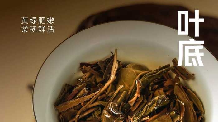 生态青砖启幕新篇章:文化品藏交流会探讨普洱茶产品价值 大益“生态青砖”品藏会全国8城举办,500余名藏友一试钟情