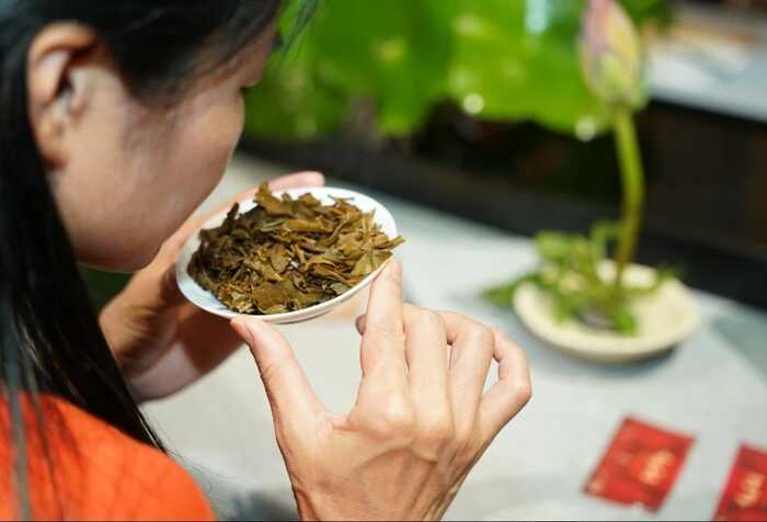 生态青砖启幕新篇章:文化品藏交流会探讨普洱茶产品价值 大益“生态青砖”品藏会全国8城举办,500余名藏友一试钟情