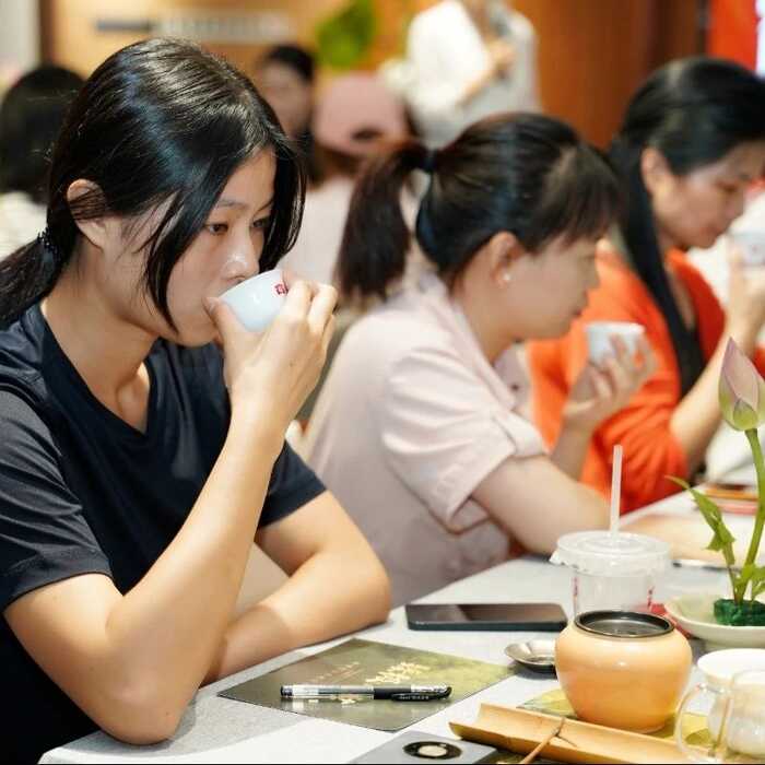 生态青砖启幕新篇章:文化品藏交流会探讨普洱茶产品价值 大益“生态青砖”品藏会全国8城举办,500余名藏友一试钟情