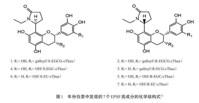 “年份越长，越有价值？”其实年份才是老茶最大的“坑”