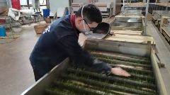 春茶生产热潮席卷名山区北部园区 名山区北部(黑竹)茶叶集中加工园区茶叶生产忙