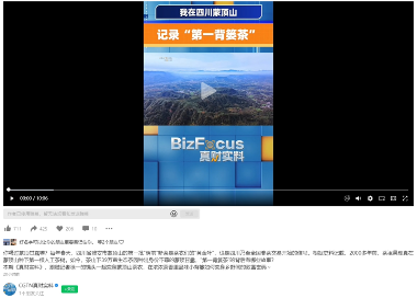 蒙顶山春茶:全球目光聚焦"第一背篓茶"故事 CGTN 聚焦蒙顶山春茶,“第一背篓茶”获国际关注