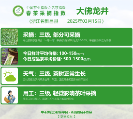名茶采摘指数分级标准:茶芽、天气与用工的五维评估 2025春茶季:洞庭山碧螺春开采