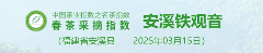 名茶采摘指数分级标准:茶芽、天气与用工的五维评估 2025春茶季:洞庭山碧螺春开采