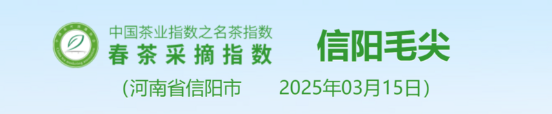 名茶采摘指数分级标准:茶芽、天气与用工的五维评估 2025春茶季:洞庭山碧螺春开采