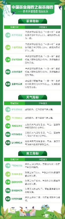 名茶采摘指数分级标准:茶芽、天气与用工的五维评估 2025春茶季:洞庭山碧螺春开采