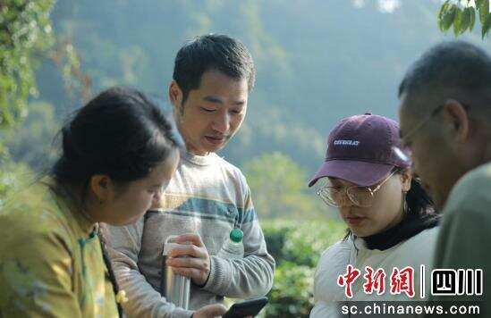 雅安市名山区乡村振兴领路人宋琦山:从工程师到茶业革新者 宋琦山:一位软件工程师到茶乡制茶人的蝶变
