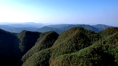 川滇高山四座茶山获有机认证 品质源于自然生态 历史性突破!筠连境内终于有有机茶山了!横跨川滇三县上千亩!