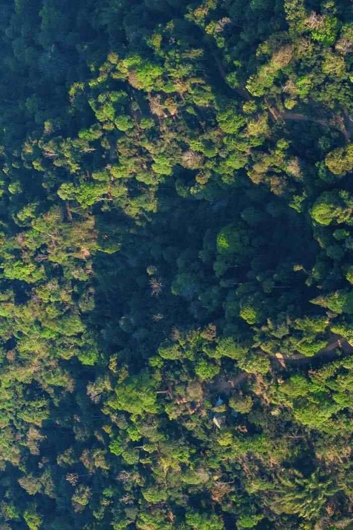 四季茶香里的东方生活哲学 喝茶的“时间管理”,究竟有多讲究?