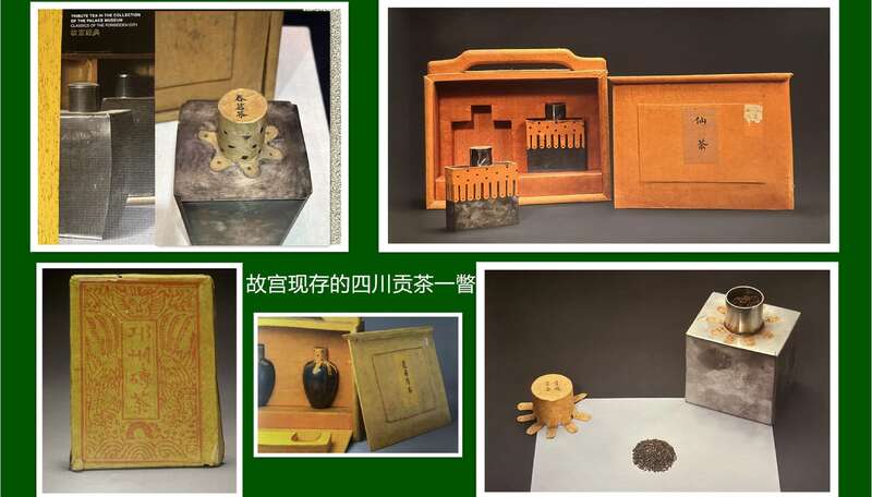 四川贡茶传承发展对话会探讨文化技艺创新路径 专家对话:四川贡茶的传承与发展如何破局?