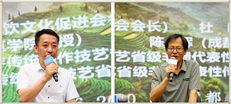 四川贡茶传承发展对话会探讨文化技艺创新路径 专家对话:四川贡茶的传承与发展如何破局?