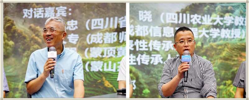 四川贡茶传承发展对话会探讨文化技艺创新路径 专家对话:四川贡茶的传承与发展如何破局?