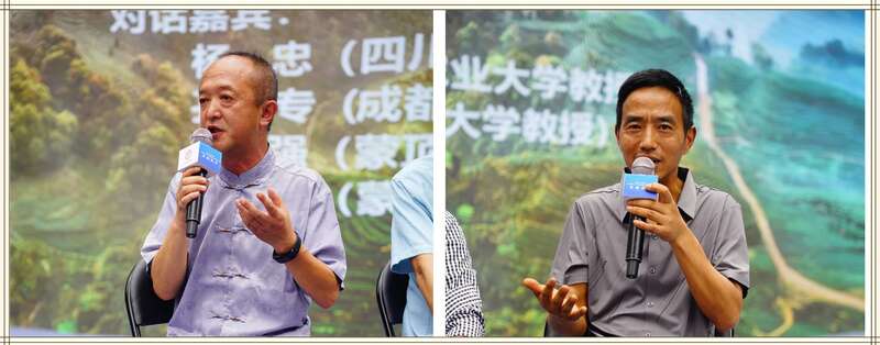 四川贡茶传承发展对话会探讨文化技艺创新路径 专家对话:四川贡茶的传承与发展如何破局?