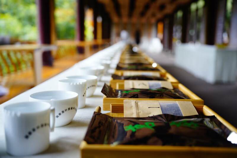 四川黄茶产业振兴:标准化建设与品牌发展 守护非遗根脉 品味黄芽雅韵: 首届“蒙顶黄茶杯”四川黄茶斗茶大赛隆重举办,共绘产业振兴蓝图