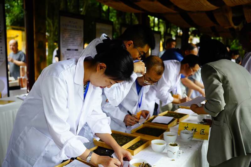 四川黄茶产业振兴:标准化建设与品牌发展 守护非遗根脉 品味黄芽雅韵: 首届“蒙顶黄茶杯”四川黄茶斗茶大赛隆重举办,共绘产业振兴蓝图