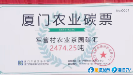 中国茶产业绿色转型与多元化发展新格局 349.91万吨!2024年中国茶叶生产与内销形势如何?