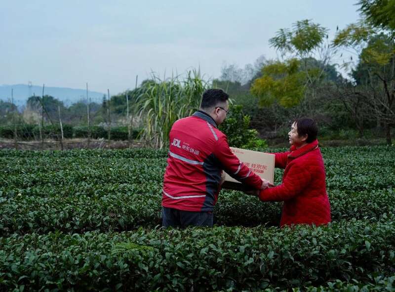 中国茶产业绿色转型与多元化发展新格局 349.91万吨!2024年中国茶叶生产与内销形势如何?