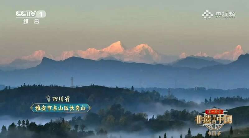 蒙顶山茶非遗技艺探秘:千年传承与文化魅力 茶分六彩 艺承千秋 蒙顶黄芽茶亮相《非遗里的中国》