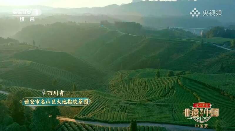 蒙顶山茶非遗技艺探秘:千年传承与文化魅力 茶分六彩 艺承千秋 蒙顶黄芽茶亮相《非遗里的中国》