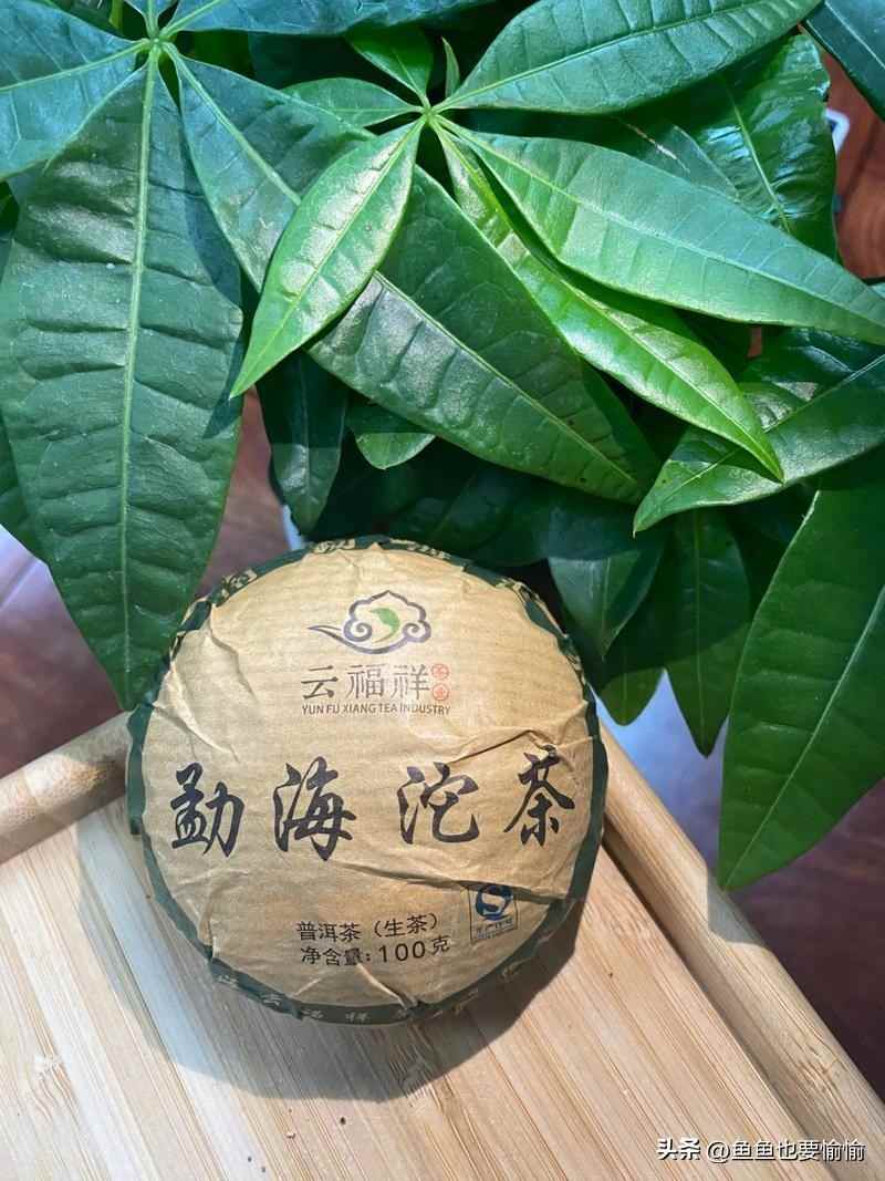 普洱茶产地争议:『万千终归勐海』是共识?还是营销话术? 普洱茶产地争议:『万千终归勐海』是共识?还是营销话术?