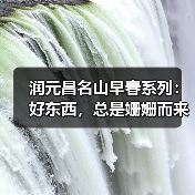 润元昌名山早春系列：好东西，总是姗姗而来（图1）