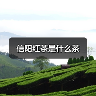 信阳红茶是什么茶？新贵红茶品质解析