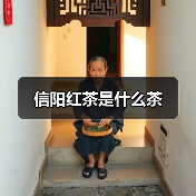 信阳红茶是什么茶（图4）