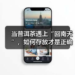 回南天普洱茶防潮指南：家庭保存技巧全解析