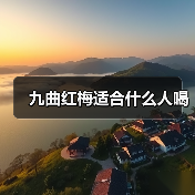 九曲红梅适合什么人喝（图3）