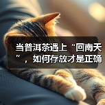 当普洱茶遇上“回南天”，如何存放才是正确之法？看了你就懂（图2）